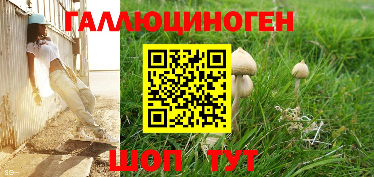Псилоцибиновые грибы Psilocybine cubensis  Псилоцибиновые грибы GOLDEN TEACHER  Еманжелинск  Вход с VPN 